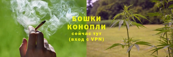 PSILOCYBIN Михайлов