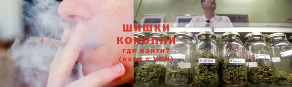 сатива Михайловск