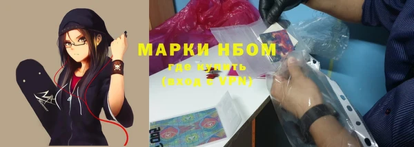 сатива Михайловск