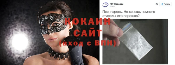 PSILOCYBIN Михайлов