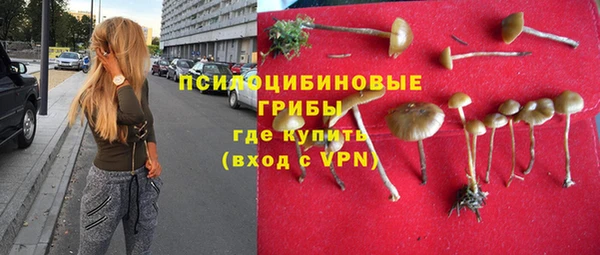 PSILOCYBIN Михайлов